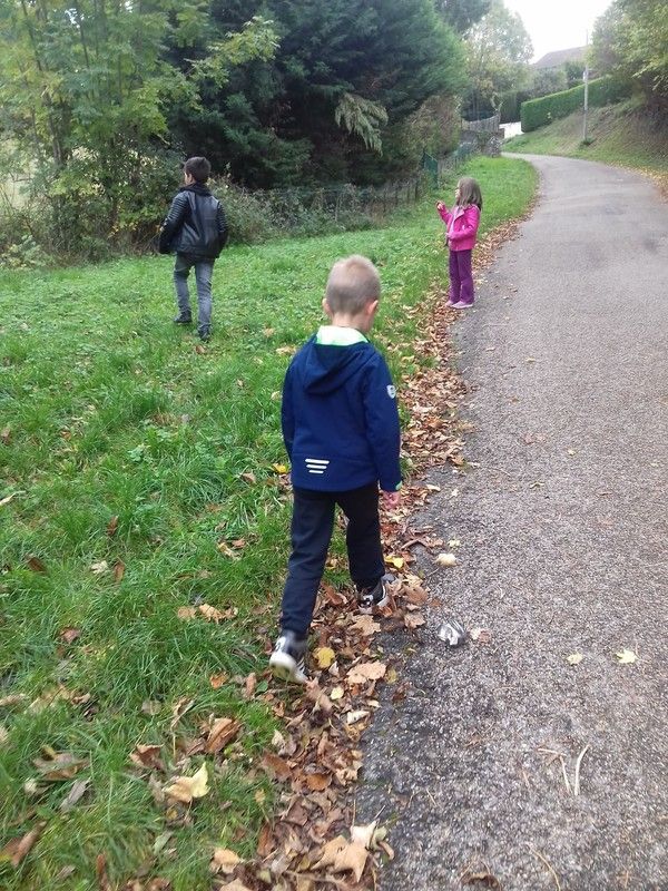 petite balade d'automne